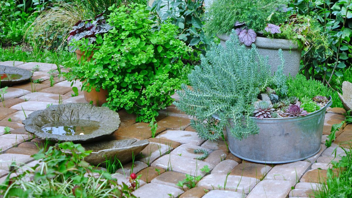 landscaping trend scaled