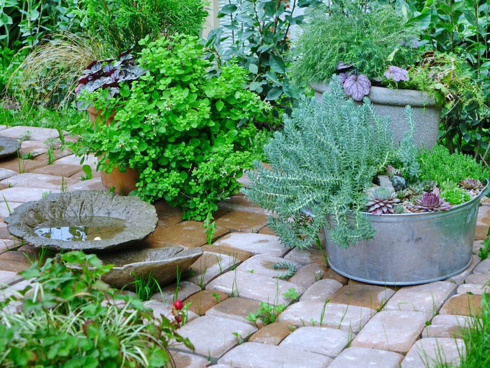 landscaping trend scaled